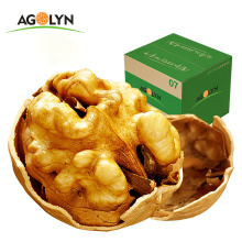 Xinjiang Organic Dried Paper Shell Walnuts